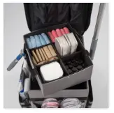 Carro Mobility4.webp