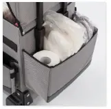 Carro Mobility2.webp