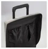 Carro Mobility3.webp