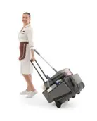 Carro Mobility1.webp