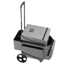 [02160] Carro Mobility